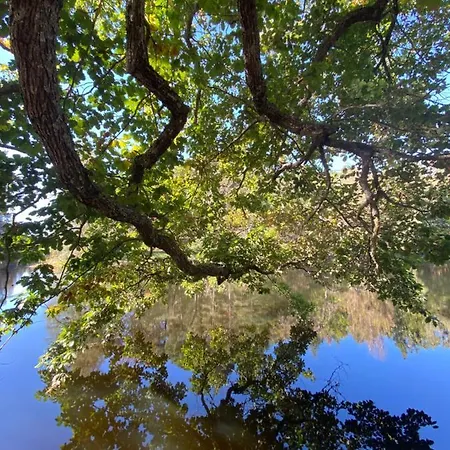 El Rincon Del Marques شقة *