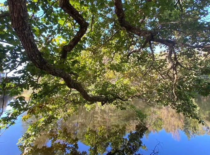 El Rincon Del Marques Apartment *